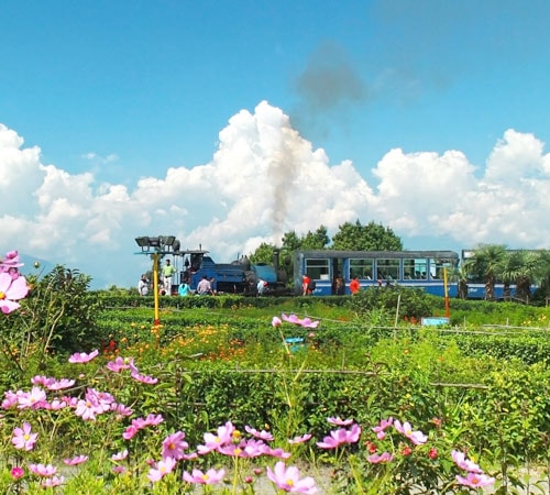 Welcome To Sikkim And Darjeeling