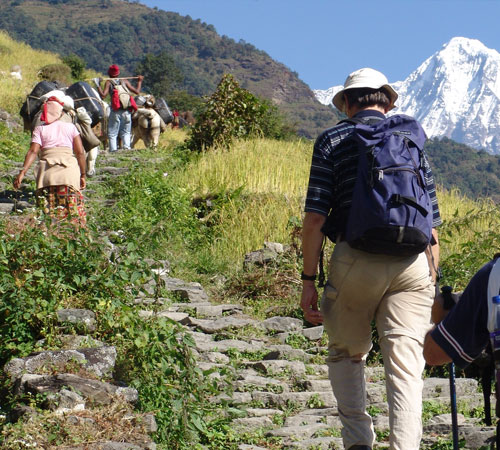 Nepal Cultural & Nature Tour